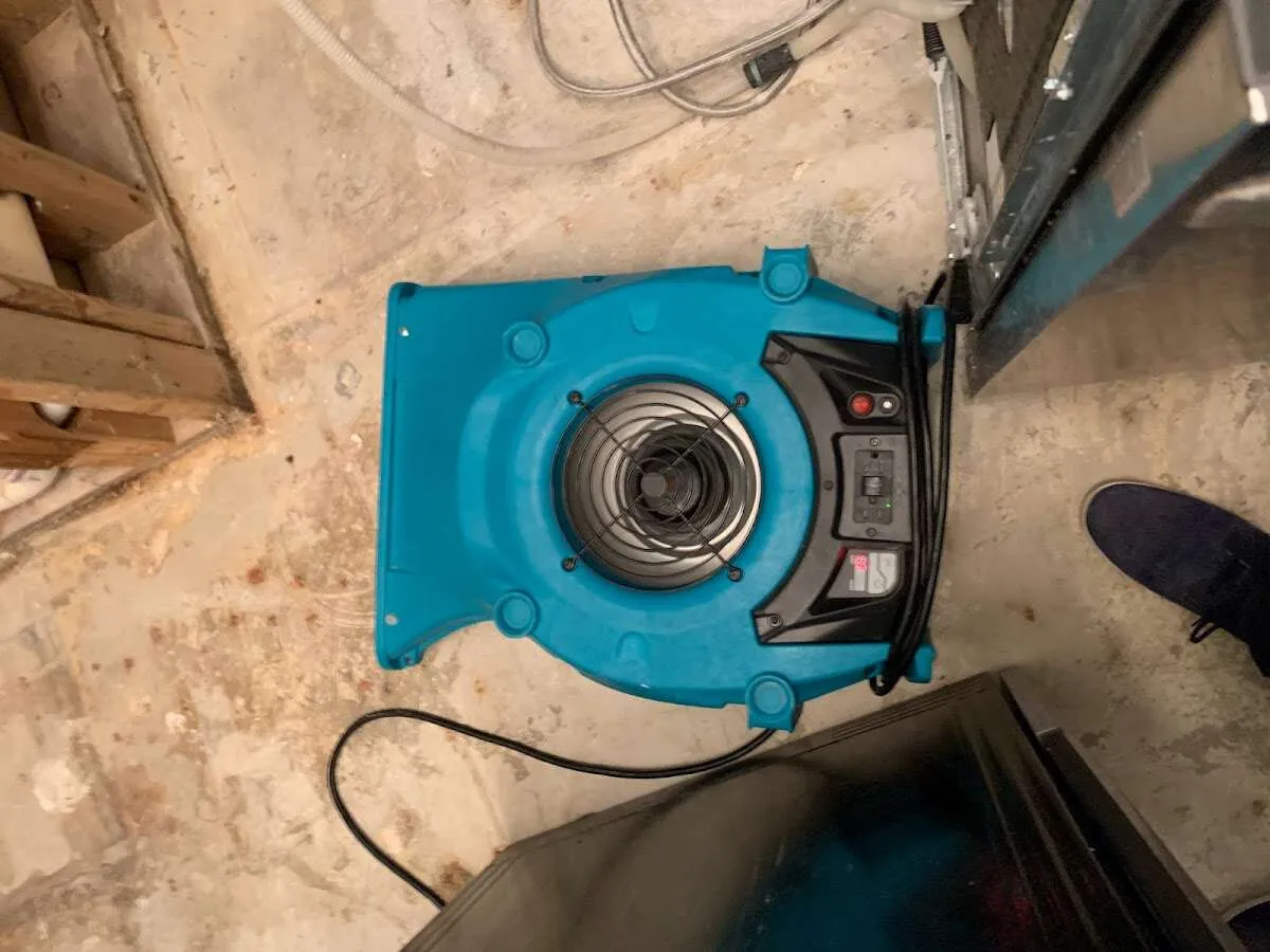 Air mover drying equipment for Mold Remediation & Removal in Bryan